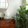 Designer Interiors