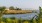 The waterfront near our apartments for rent in North Charleston, SC, featuring marsh reeds in the foreground.